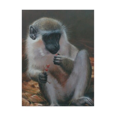 【親株】【120cmOver】P. White Monkey. Original Trademark Fine Art Michael Jackson 'White Monkey 1' Canvas Art